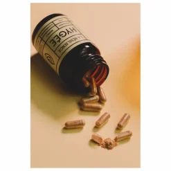 Hygée Compléments Alimentaires|La Résilience Complément alimentaire - 56 gélules