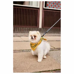 Hay Accessoires Animaux|Laisse réglable |