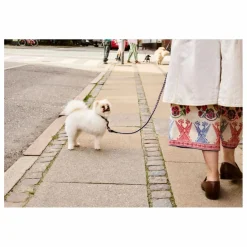 Hay Accessoires Animaux|Laisse réglable |