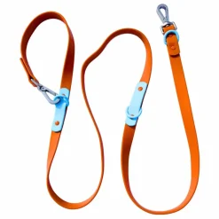 Approved by Fritz Laisse réglable pour chien | Chocolat Online