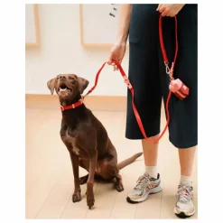 Approved by Fritz Accessoires Animaux|Laisse réglable pour chien |