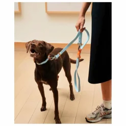 Approved by Fritz Laisse réglable pour chien | Bleu ciel Outlet