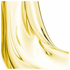 Homme/Femme Leonor Greyl L'huile pour cheveux - 95ml