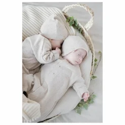 1+ in the family Lot 2 bodies Lis Coton Bio |