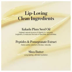 RMS Beauty Masque de nuit pour les lèvres - 9g | Sleepover