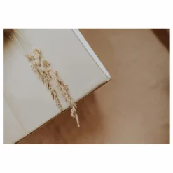 Quax Matelas à langer 67x44 cm |