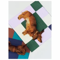 Clearance Hay Matelas de voyage pour chien | Lavande