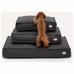 Clearance Cafide Matelas pour Chien Cuadra | Noir