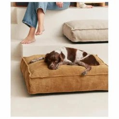 Discount Cafide Matelas pour Chien en velours côtelé Cuadra | 70