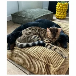 Cafide Matelas pour Chien en velours côtelé Cuadra |