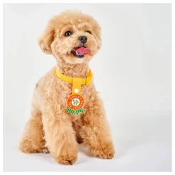 Discount The Furry Folks Médaille World's Okayest Dog | Rouge
