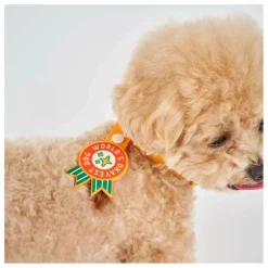 Discount The Furry Folks Médaille World's Okayest Dog | Rouge