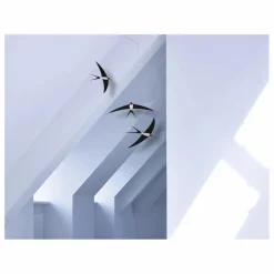 Best Flensted Mobile Vol d'hirondelles Noir