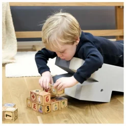 BObles Jouets D'Éveil|Module de motricité Crocodile en EVA |