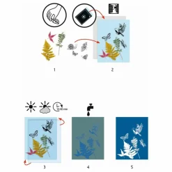 Djeco Loisirs Créatifs|Mon premier kit Cyanotype