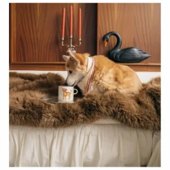 Anna + Nina Mug Labradoodle Blanc Discount