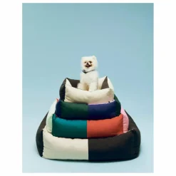 Hay Panier pour chien |