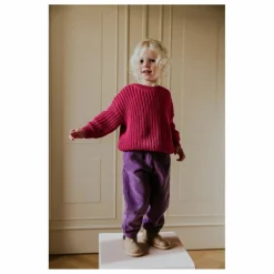 Hot Yuki Pantalon Beau Velours Côtelé Bio | Violet