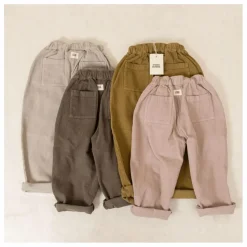 Hot Studio Bohème Pantalon Carrot Velours Côtelé Coton Bio | Gris