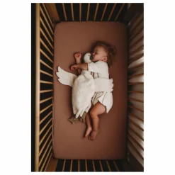 Senger Naturwelt Peluche bouillotte Oie |