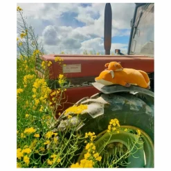 Nemu Nemu Doudous, Peluches|Doudous Et Peluches|Peluche Konta le Renard |