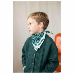 Apaches Petit Foulard Manika | Vert Discount
