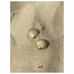 Doing Goods Poignée de porte en laiton Shell | Doré Best