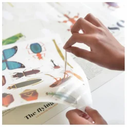 Poppik Loisirs Créatifs|Poster sticker Les Insectes