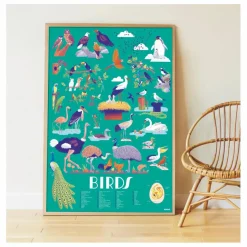 Poppik Poster stickers Oiseaux