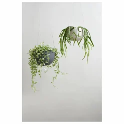 Discount Kinto Pot à suspendre | Noir