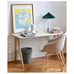 Hay Petits Rangements|Poubelle Shade |