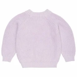 Hot Copenhagen Colors Pull Coton Bio | Lilas tLilas
