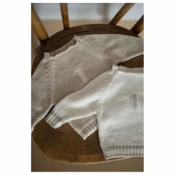 1+ in the family Pulls, Gilets|Pulls, Gilets|Pull Didac |