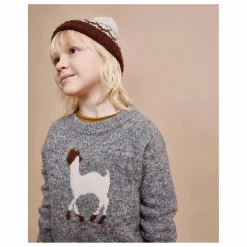 Discount Búho Pull Lama Fibres Recyclées | Gris