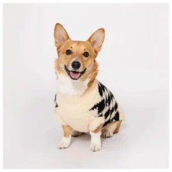 Best The Furry Folks Pull Pixmond | Noir