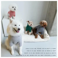 The Furry Folks Accessoires Animaux|Pull rayé |