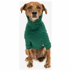 The Furry Folks Accessoires Animaux|Pull rayé |