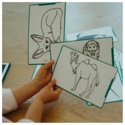 Kidywolf Recharge pour Kidydraw Mini - Pirates, princesses et animaux sauvages Multicolore Outlet