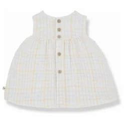 1+ in the family Robe Laia |