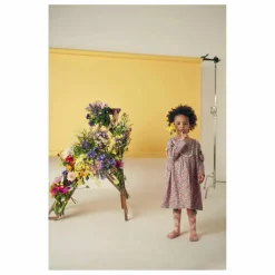 Louise Misha Robe Roulotta Fleurie | Rose