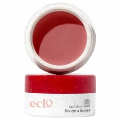 Eclo Rouge à Lèvres | Rose Fierce 004