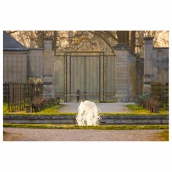 Mademoiselle Saint Germain Serum Renaissance - 30ml Non teinté Sale