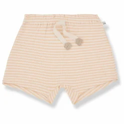 1+ in the family Short Carolina |