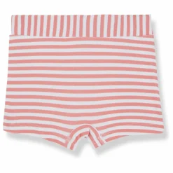 1+ in the family Short de Bain Milo |
