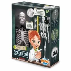 Buki Squelette 45 cm Multicolore Online