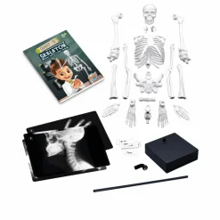 Buki Squelette 45 cm Multicolore Online