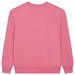 SMALLABLE BASICS Sweat Crewneck Homme Molleton Bio | Vieux Rose Best