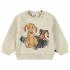 Molo Sweat Disc Coton Bio |