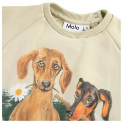 Molo Sweat Disc Coton Bio |