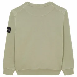 Stone Island Sweat Logo | Vert olive